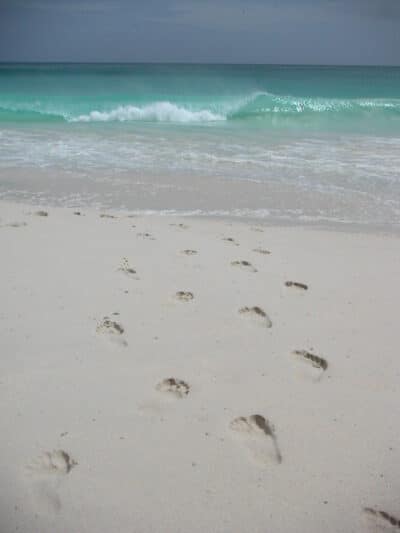 Voyage haut de gamme aux Seychelles avec Travel Planneuse – hôtel de luxe balnéaire