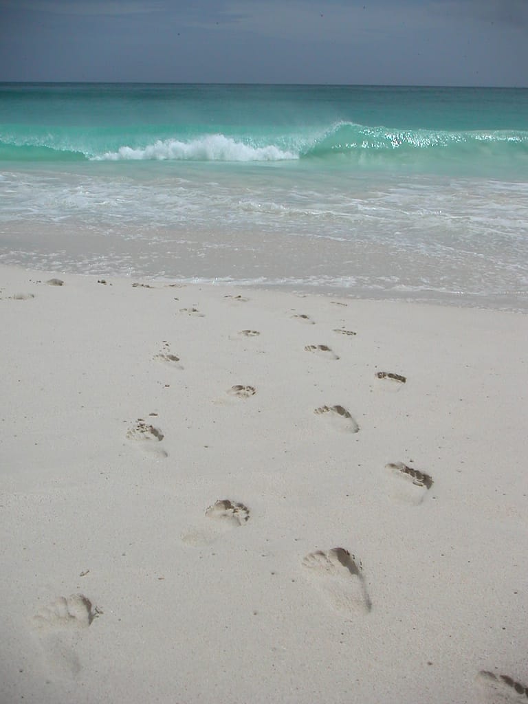 Voyage haut de gamme aux Seychelles avec Travel Planneuse – hôtel de luxe balnéaire